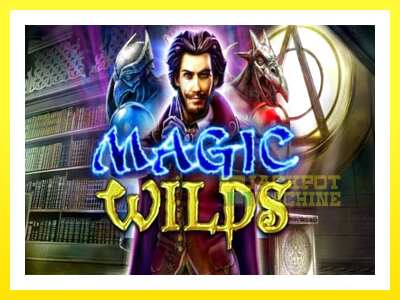 ゲーム機 Magic Wilds - お金のためのゲーム