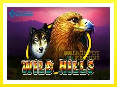 ゲーム機 Wild Hills - お金のためのゲーム