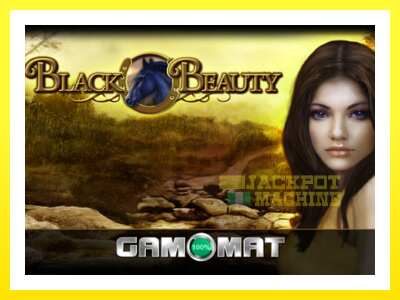 ゲーム機 Black Beauty - お金のためのゲーム