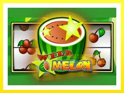 ゲーム機 Wild Melon - お金のためのゲーム