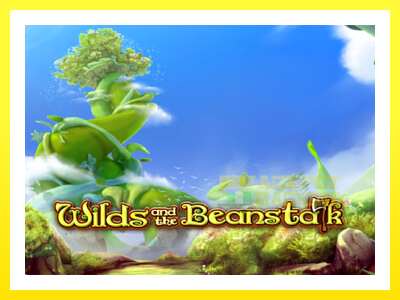 ゲーム機 Wilds and the Beanstalk - お金のためのゲーム