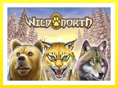 ゲーム機 Wild North - お金のためのゲーム