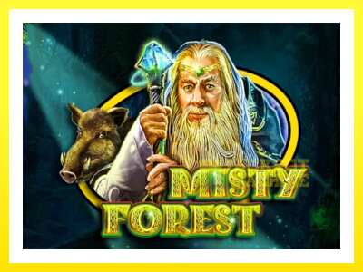 ゲーム機 Misty Forest - お金のためのゲーム