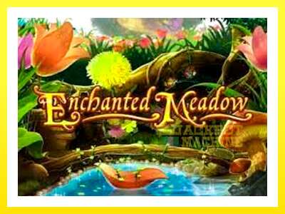 ゲーム機 Enchanted Meadow - お金のためのゲーム