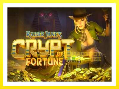 ゲーム機 Raider Janes Crypt of Fortune - お金のためのゲーム