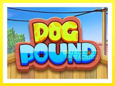 ゲーム機 Dog Pound - お金のためのゲーム