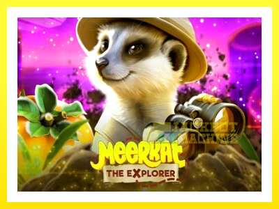 ゲーム機 Meerkat - お金のためのゲーム