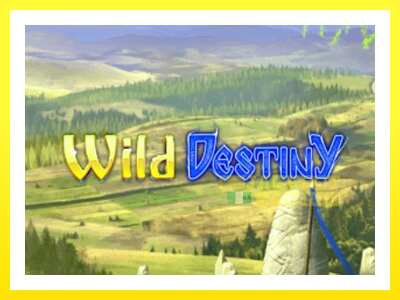 ゲーム機 Wild Destiny - お金のためのゲーム