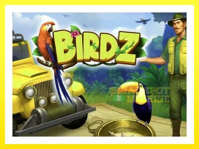 ゲーム機 BIRDZ - お金のためのゲーム