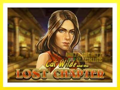 ゲーム機 Cat Wilde and the Lost Chapter - お金のためのゲーム