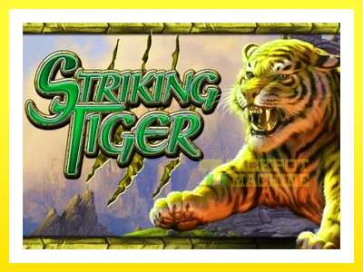 ゲーム機 Striking Tiger - お金のためのゲーム