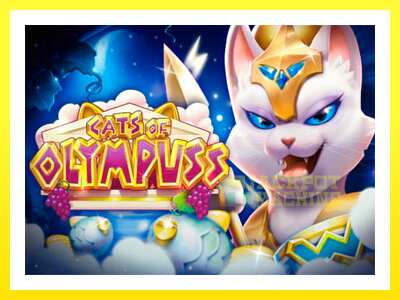 ゲーム機 Cats of Olympuss - お金のためのゲーム