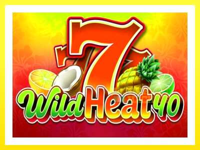 ゲーム機 Wild Heat 40 - お金のためのゲーム