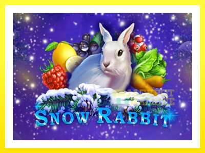 ゲーム機 Snow Rabbit - お金のためのゲーム