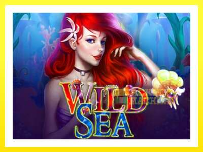 ゲーム機 Wild Sea - お金のためのゲーム