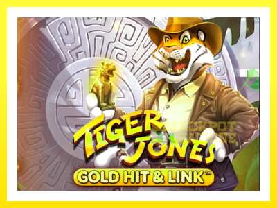 ゲーム機 Gold Hit & Link: Tiger Jones - お金のためのゲーム