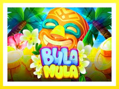 ゲーム機 Bula Mula - お金のためのゲーム