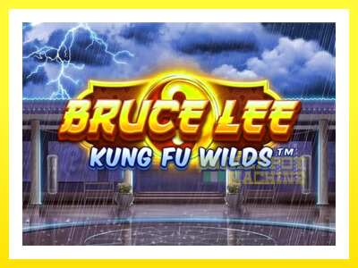 ゲーム機 Bruce Lee Kung Fu Wilds - お金のためのゲーム