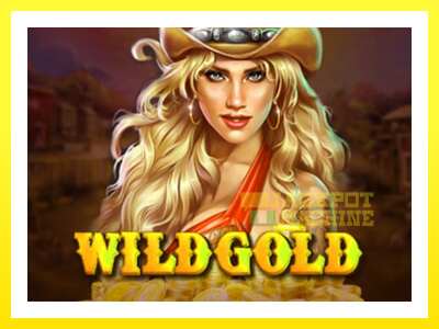 ゲーム機 Wild Gold 100000 - お金のためのゲーム