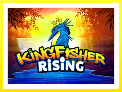 ゲーム機 Kingfisher Rising - お金のためのゲーム