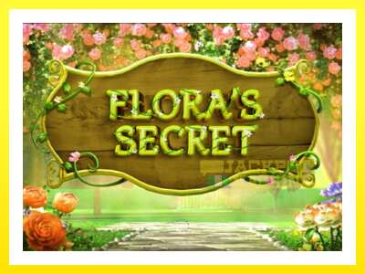 ゲーム機 Floras Secret - お金のためのゲーム