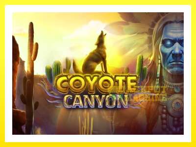 ゲーム機 Coyote Canyon - お金のためのゲーム