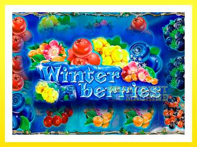 ゲーム機 Winterberries - お金のためのゲーム